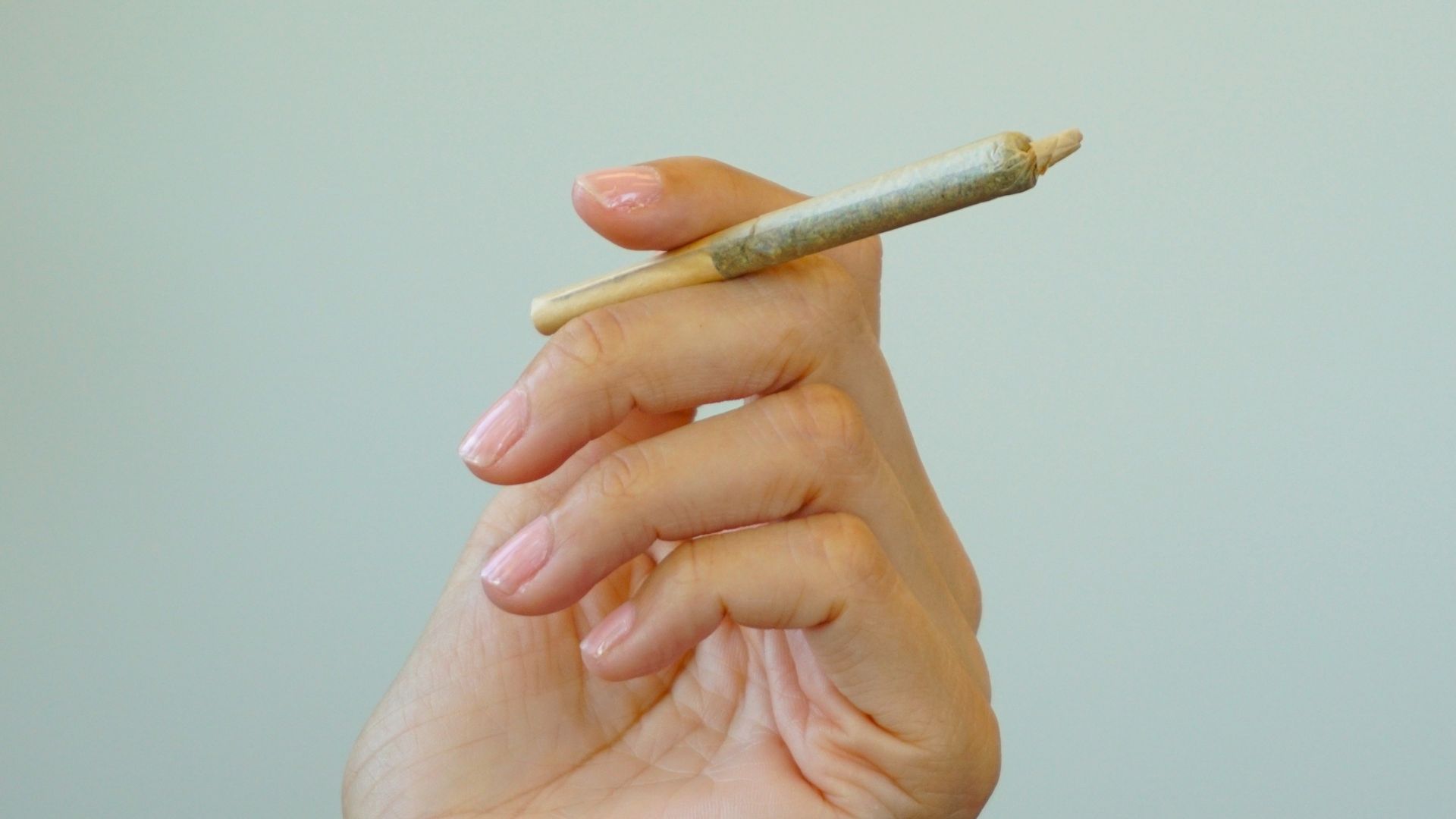 A close up of a hand holding a joint against a light blue background. The joint contains THC cannabis flower.