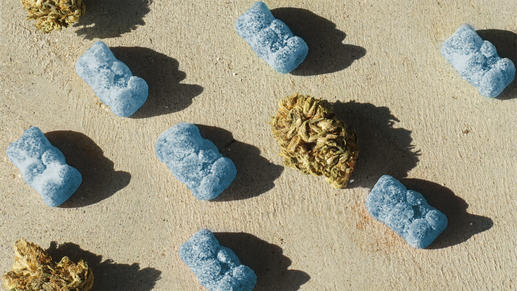 Blue bear gummies with weed nugs on concrete background